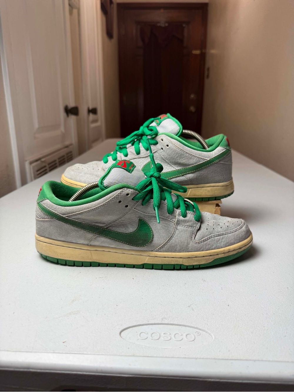 Nike SB Dunk Low Pro Medusa Silver Pine Green 313170-030 Men's Size 9.5